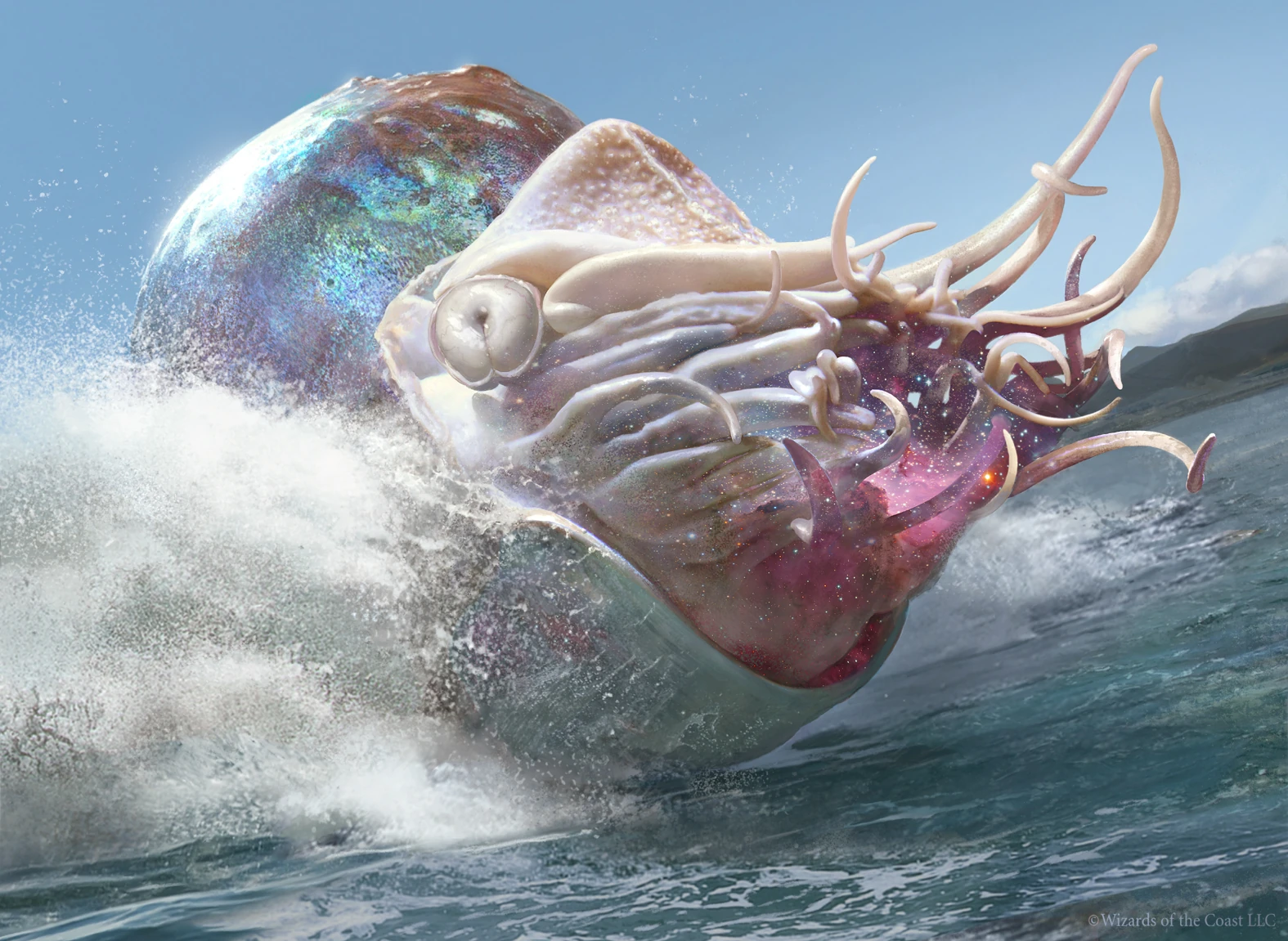 Crystalline Nautilus