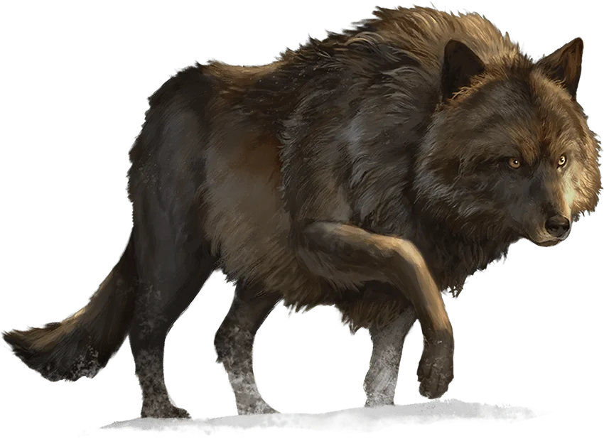 Dire Wolf