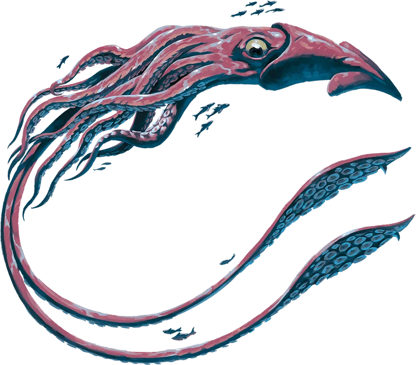 Giant Squid