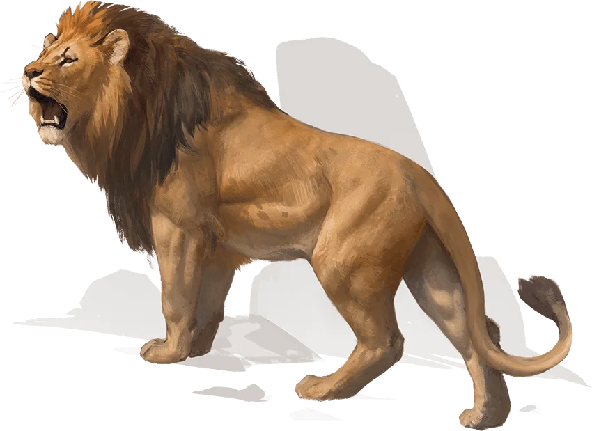 Lion
