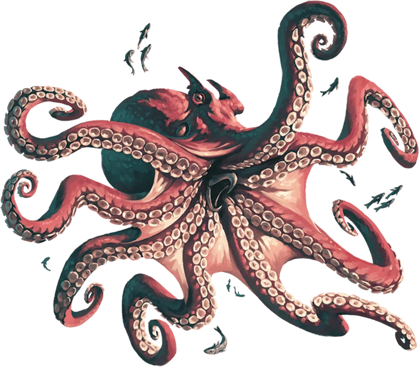 Octopus