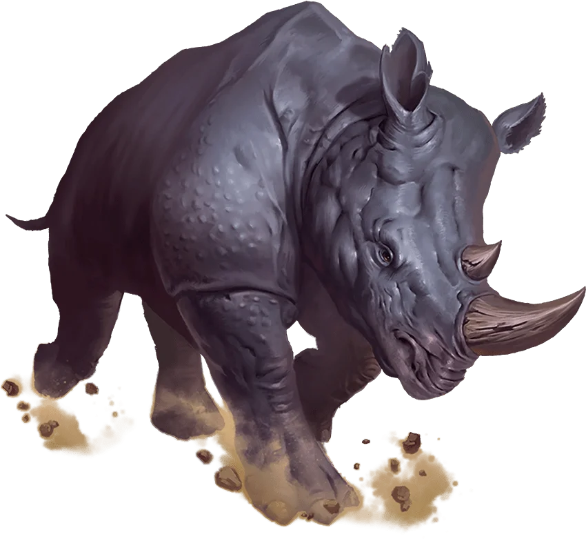 Rhinoceros