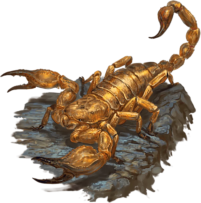 Scorpion