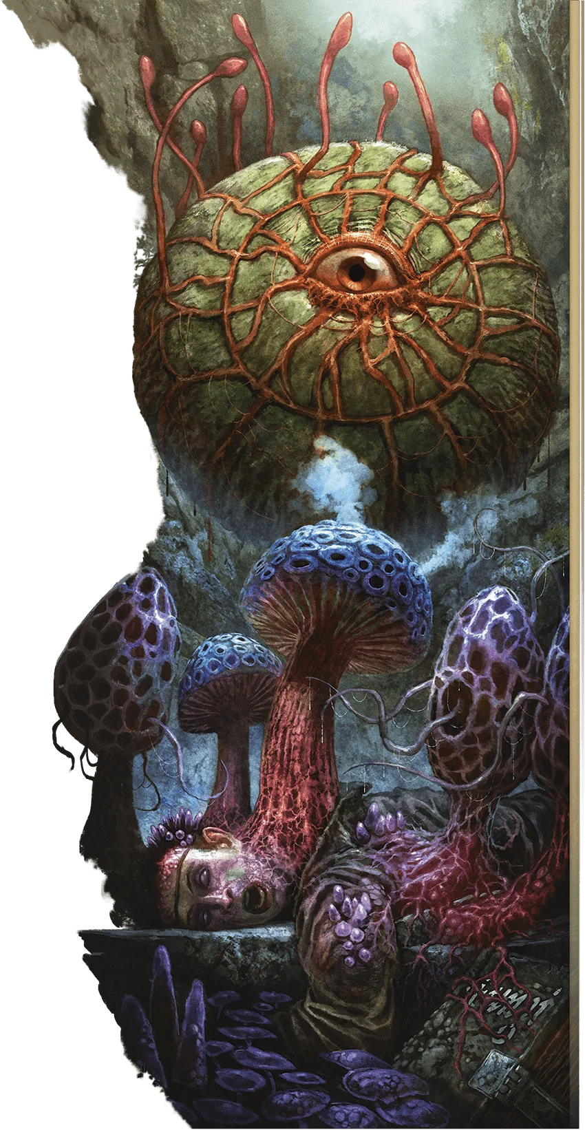 A gas spore and clusters o...