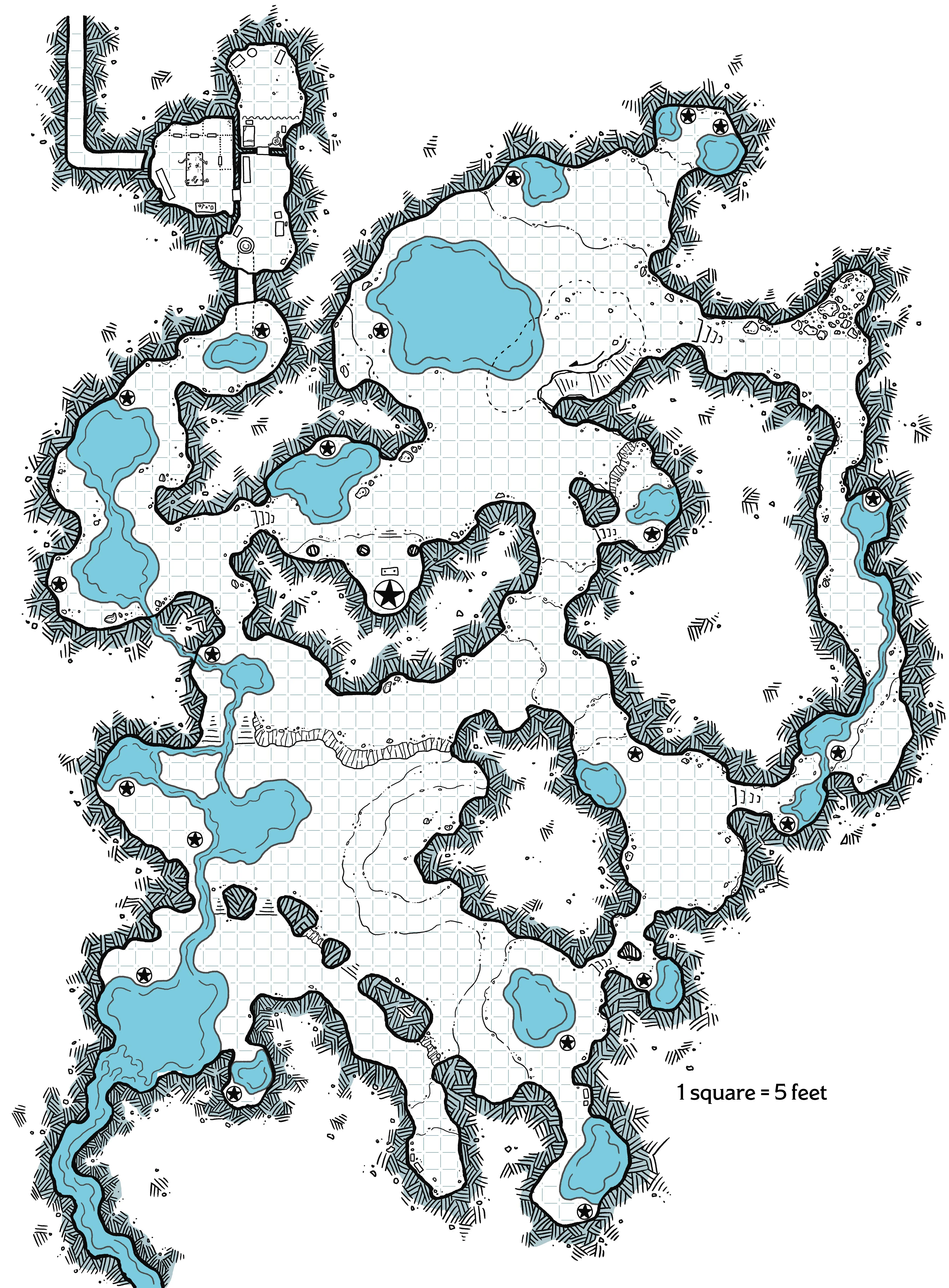 Player Version