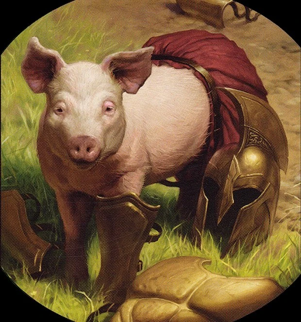 Cursed Pig