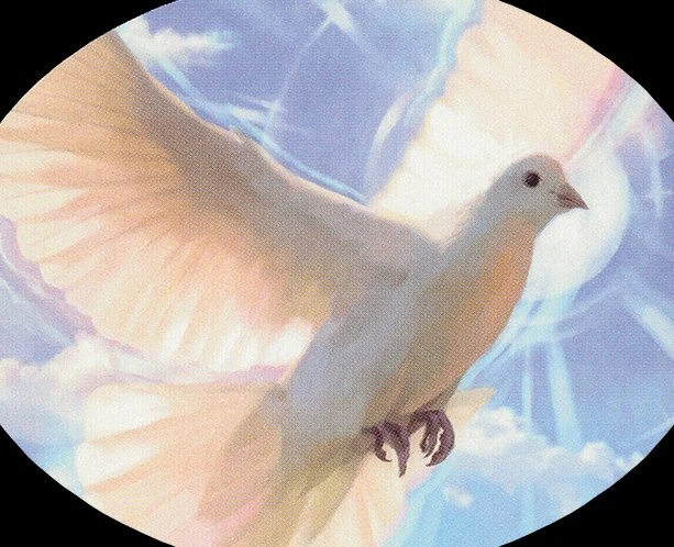 Dove