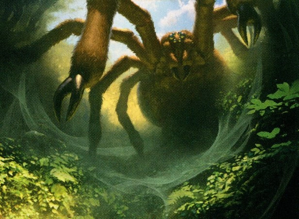 Graverobber Spider