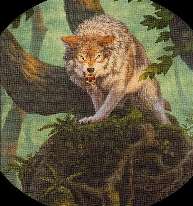 Nessian Wolf