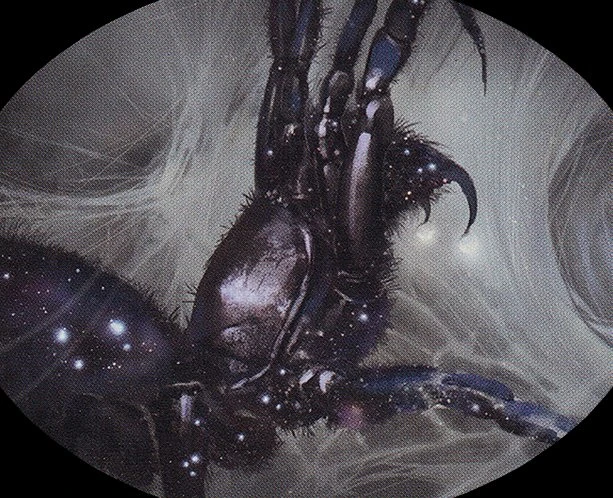 Nyxborn Spider