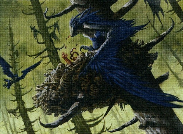 Shrike Harpy